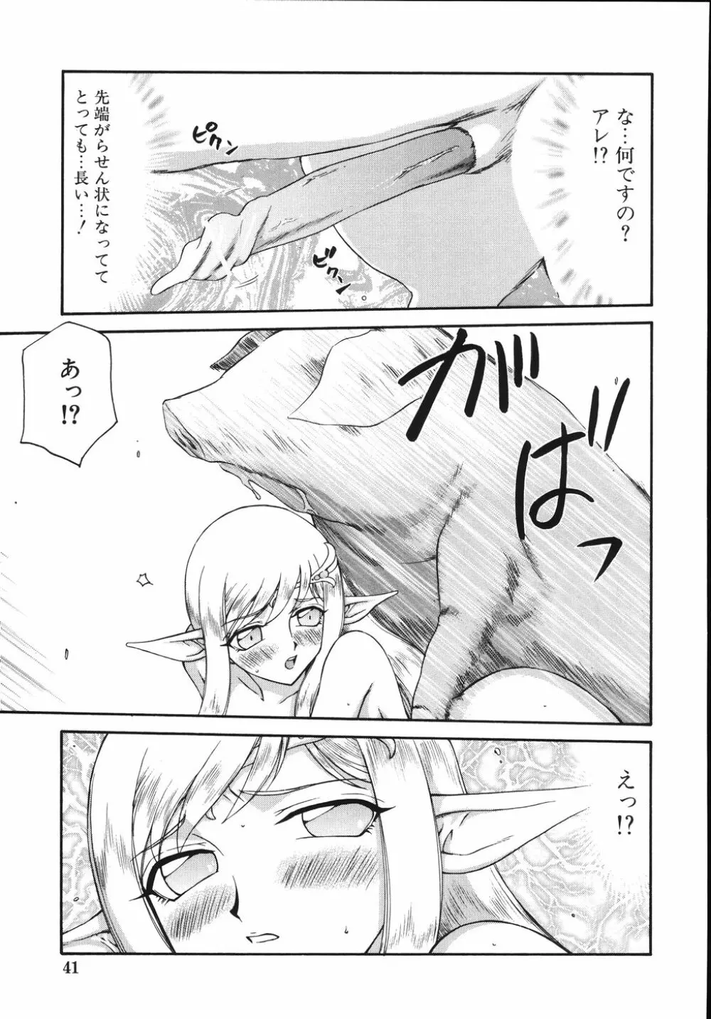 type-H タイプエッチ Page.45