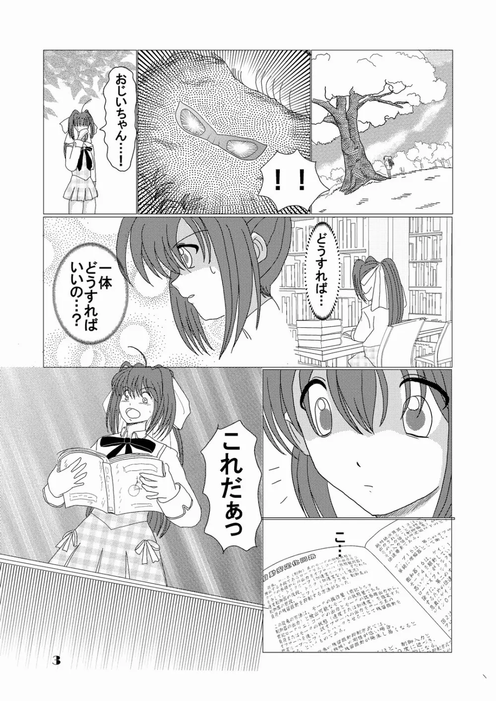 妄念自動安定化回路 Page.2