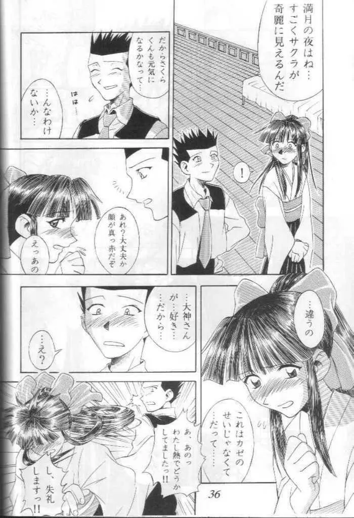 帝劇娘桜花繚乱 Page.31