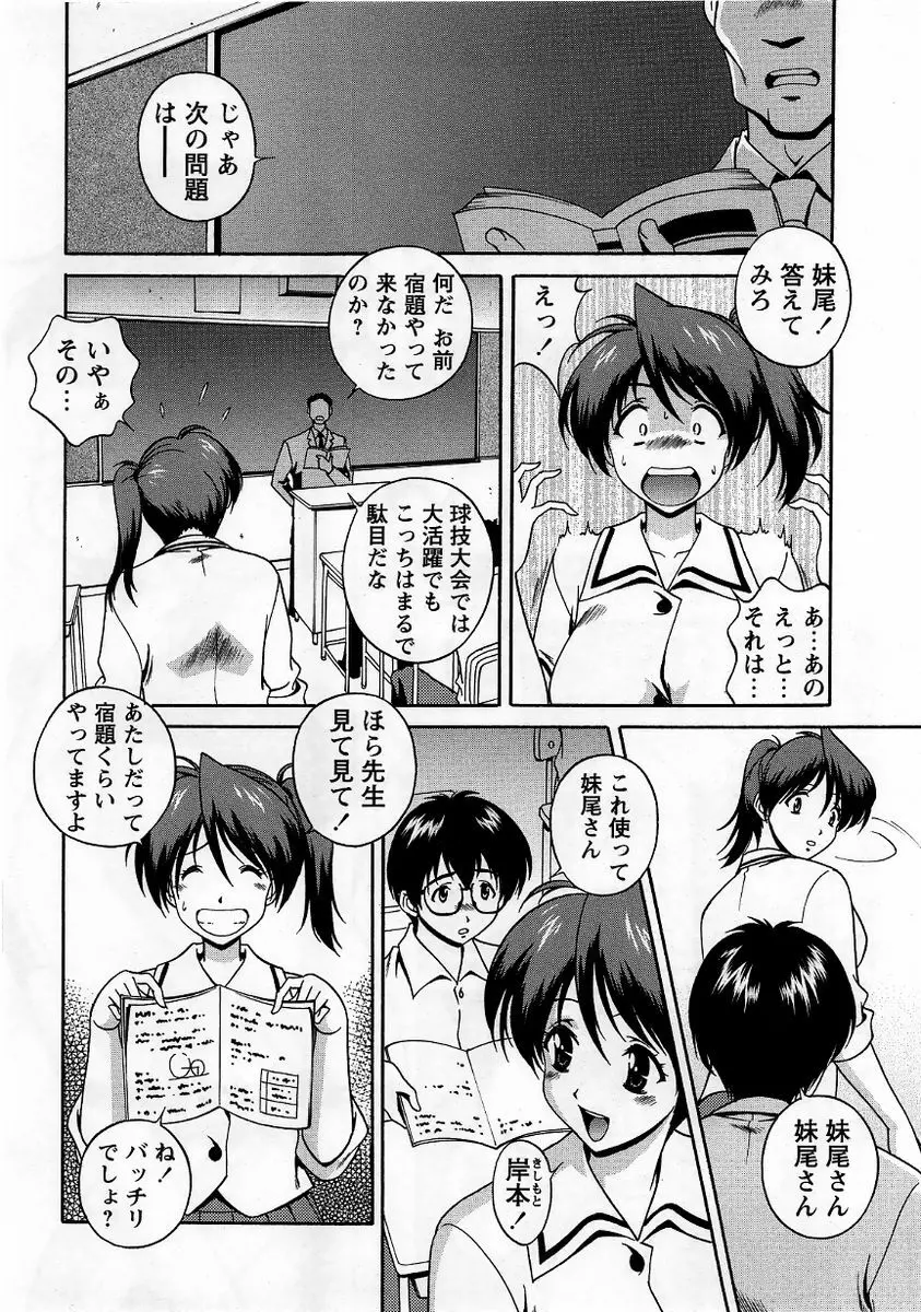 コミック・マショウ 2005年12月号 Page.146