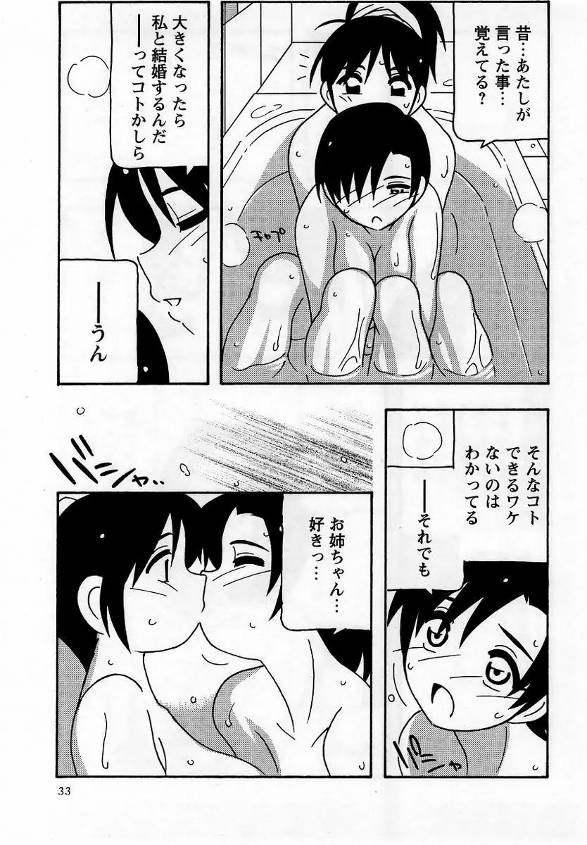 コミック・マショウ 2005年12月号 Page.33