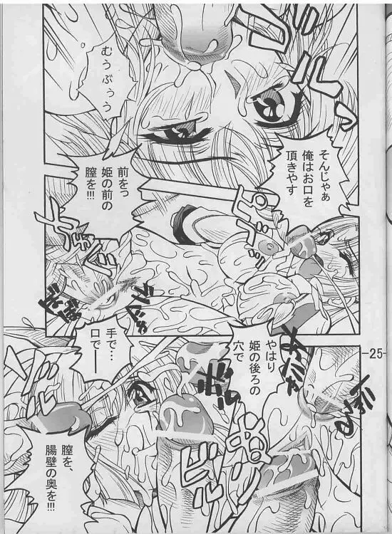 乱具 Vol.I Page.23