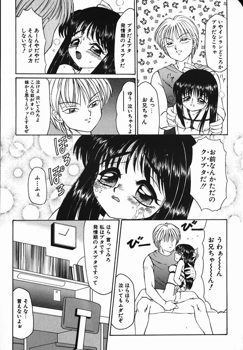 風船クラブの世界 Page.13