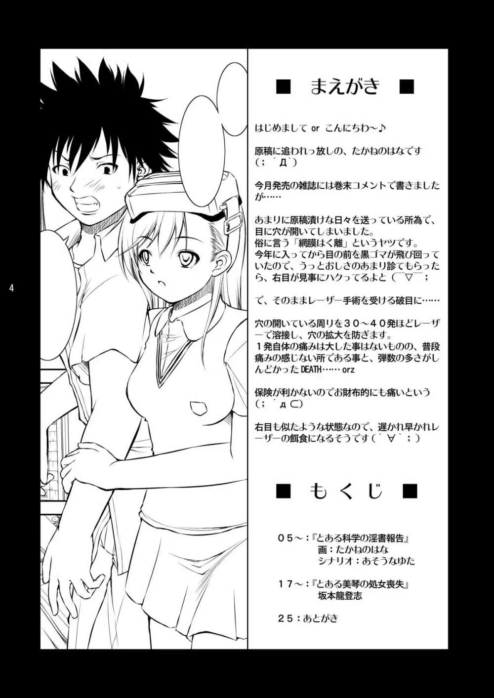 とある科学の淫書報告 Page.3