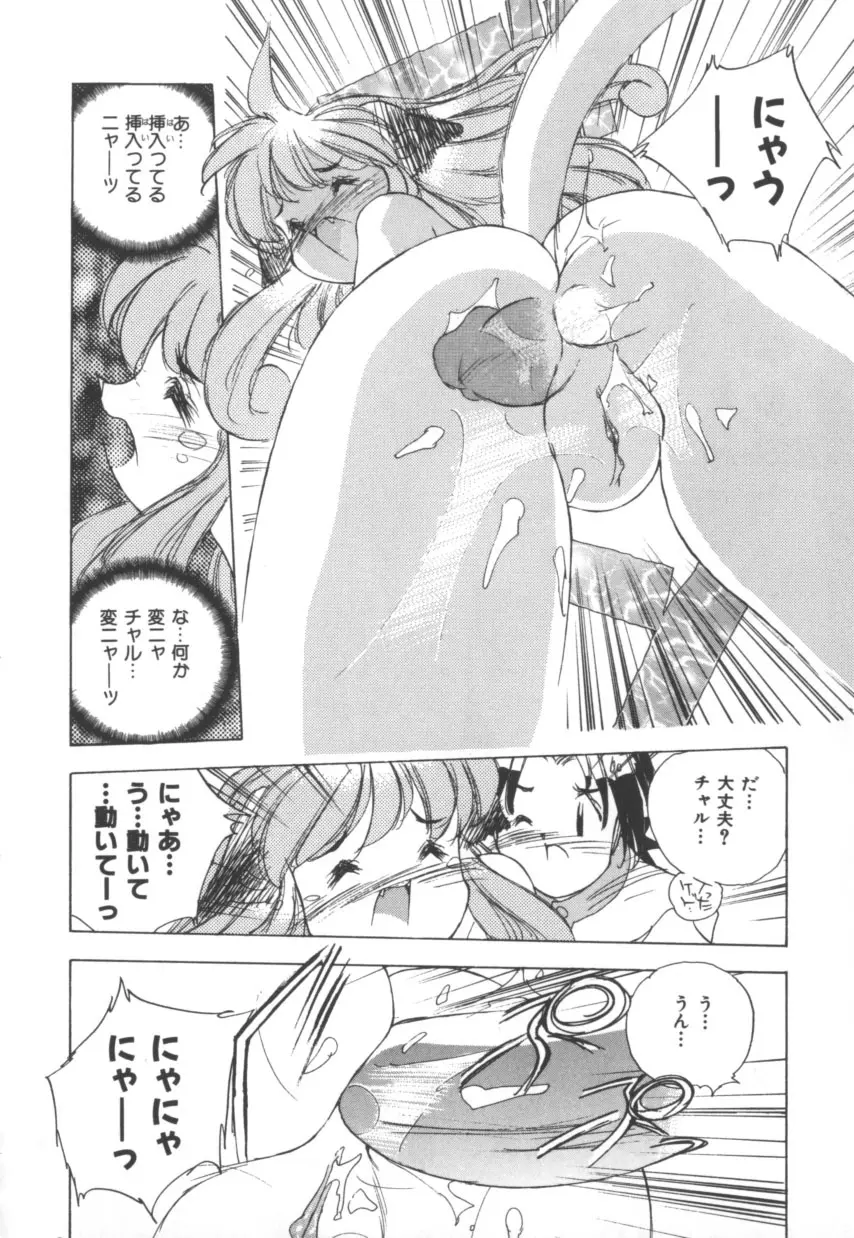 突然!Cat tale いーえっくす Page.24