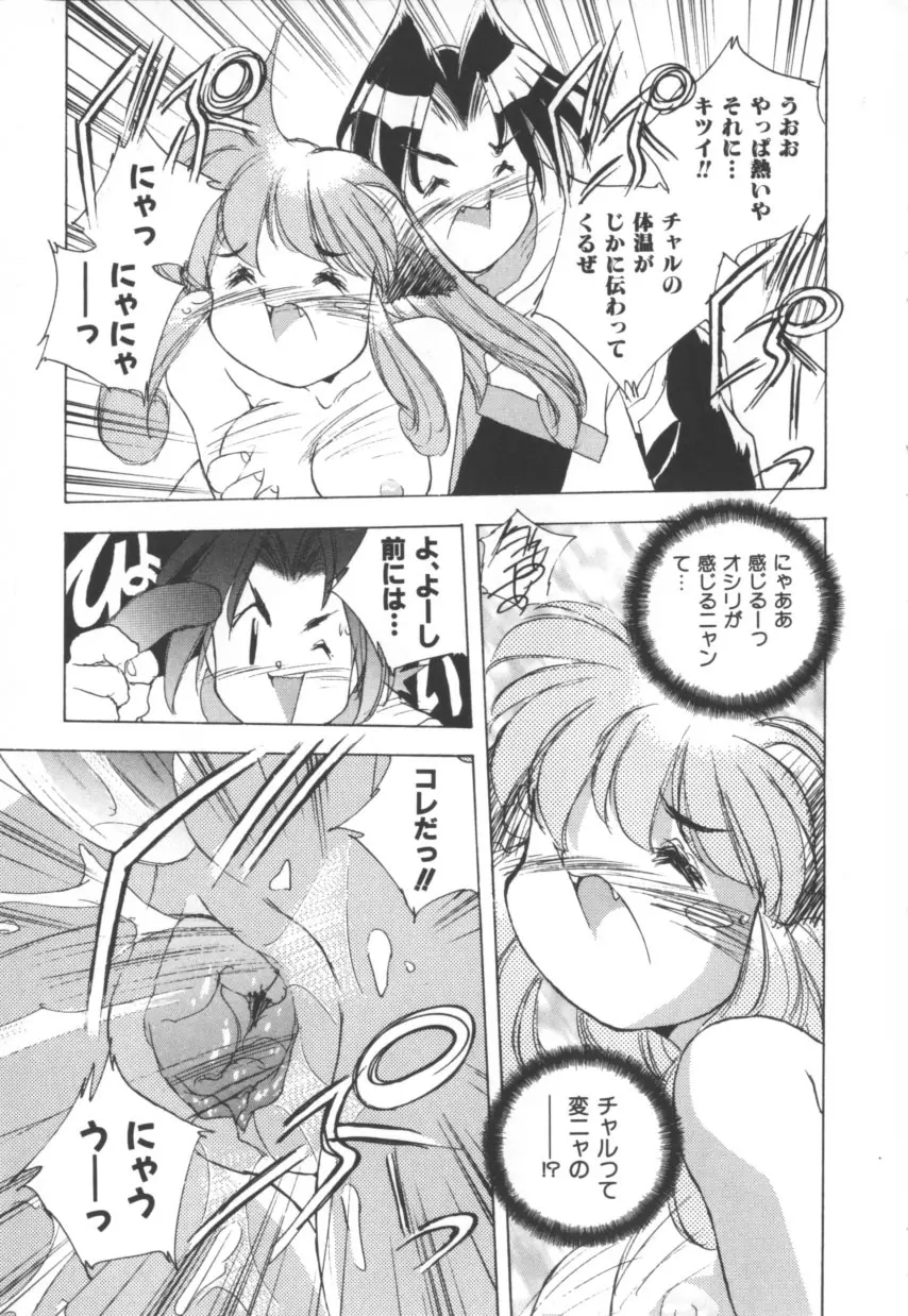 突然!Cat tale いーえっくす Page.25