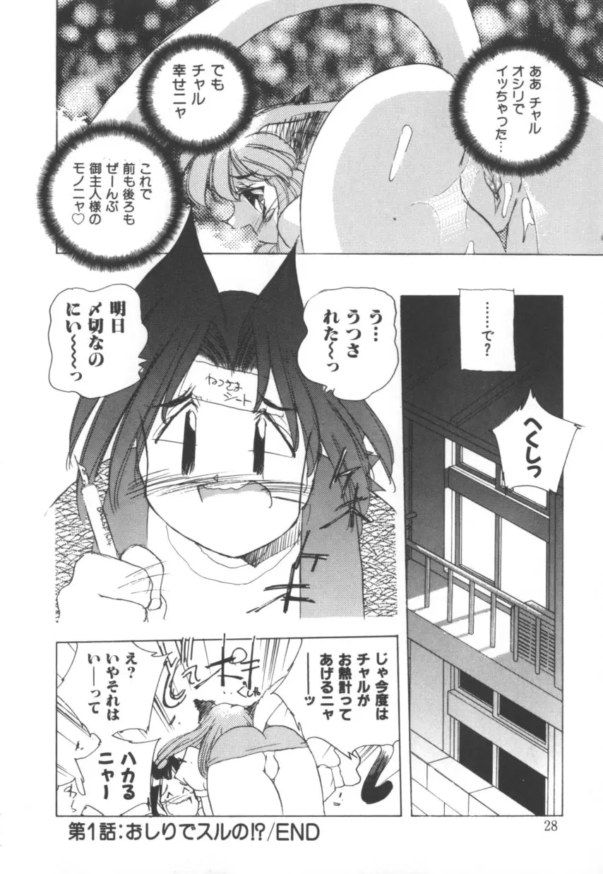 突然!Cat tale いーえっくす Page.28