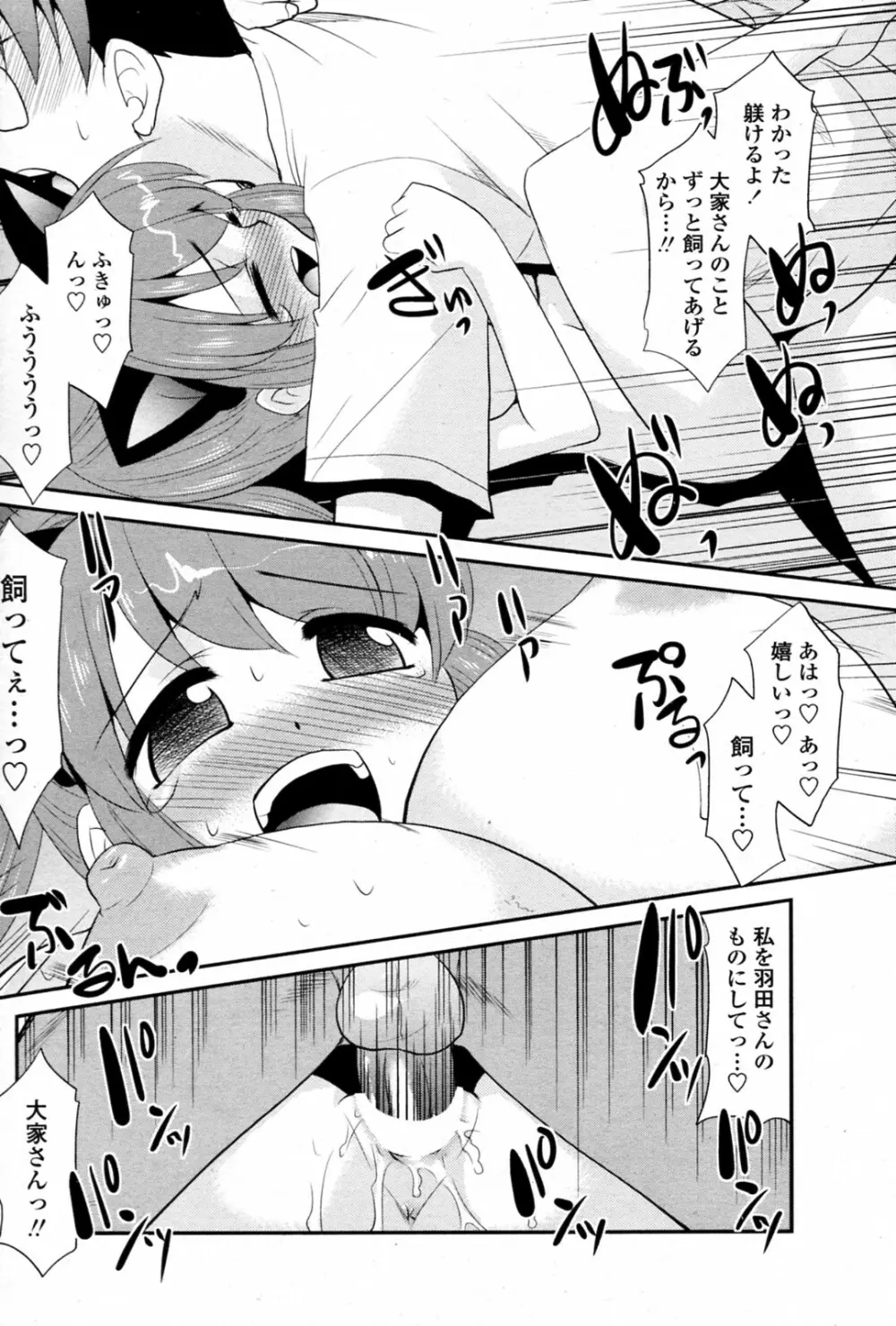 ビックハウスペット Page.18