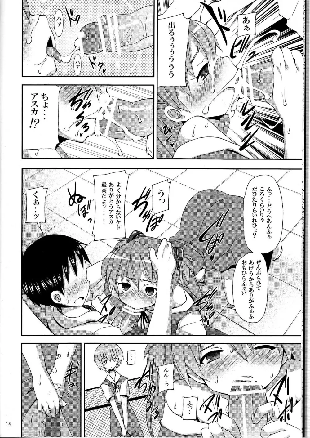 (C76) [のうないカノジョ (キシリトヲル)] I Can (Not) Choose (ヱヴァンゲリヲン新劇場版) Page.14