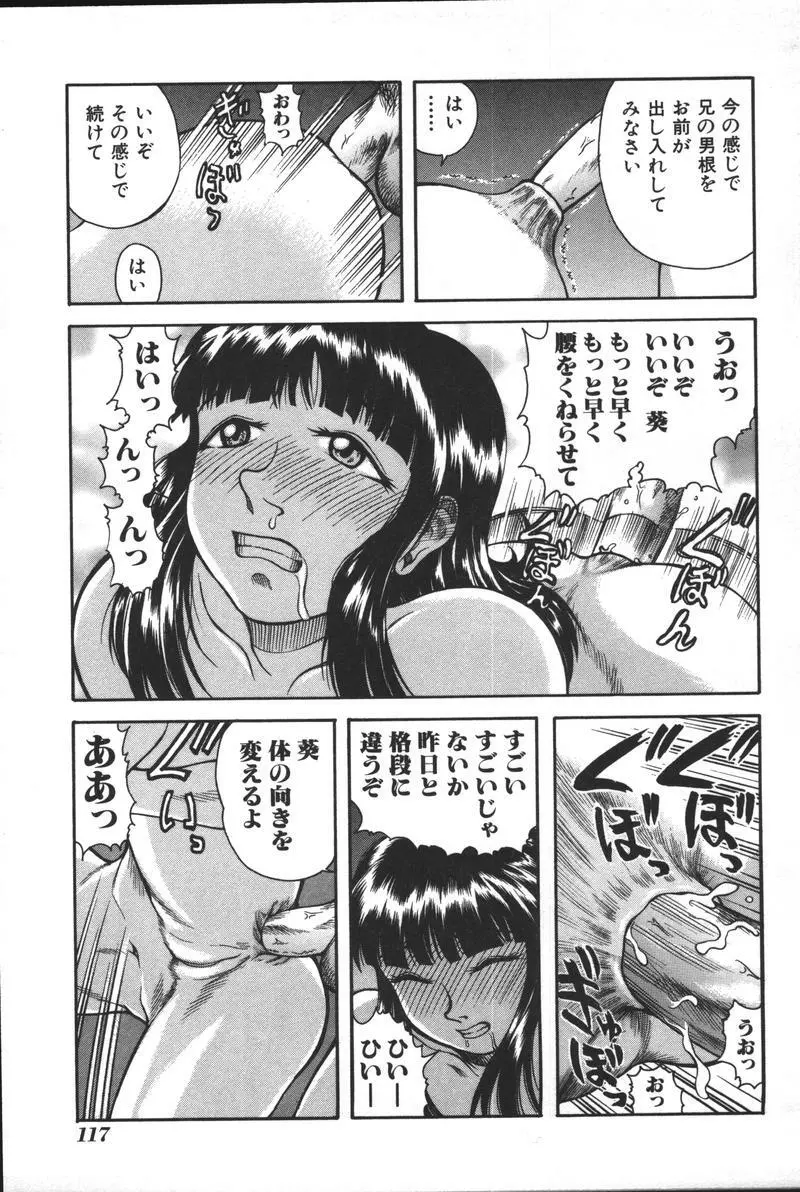 妹恋し Vol.3 Page.119