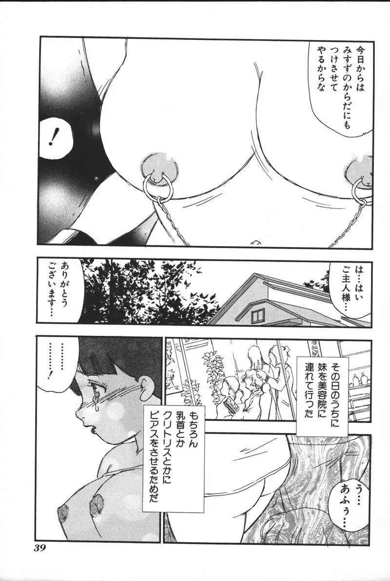妹恋し Vol.3 Page.41