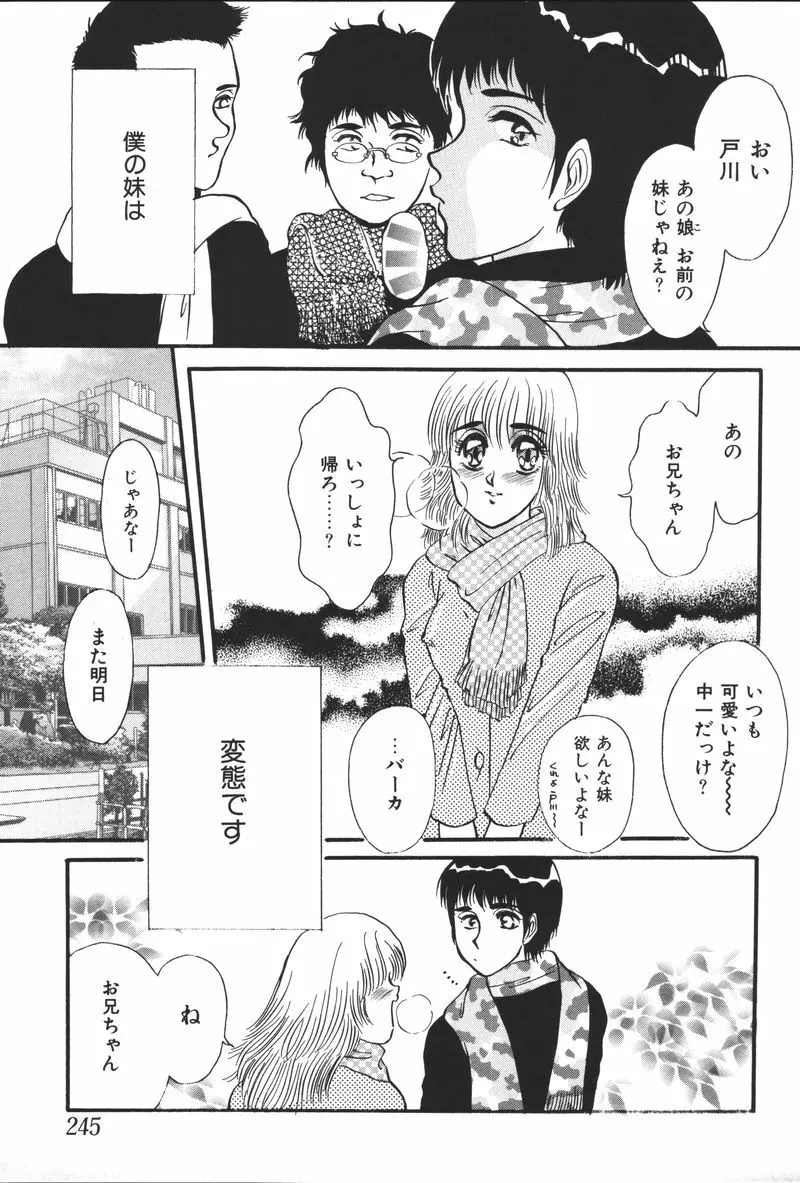 妹恋し Vol.5 Page.247