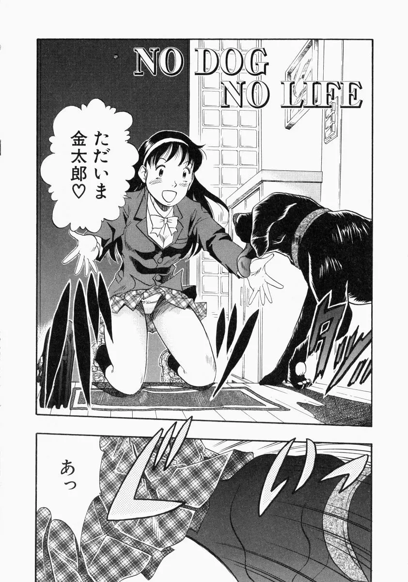 NO DOG NO LIFE Page.106