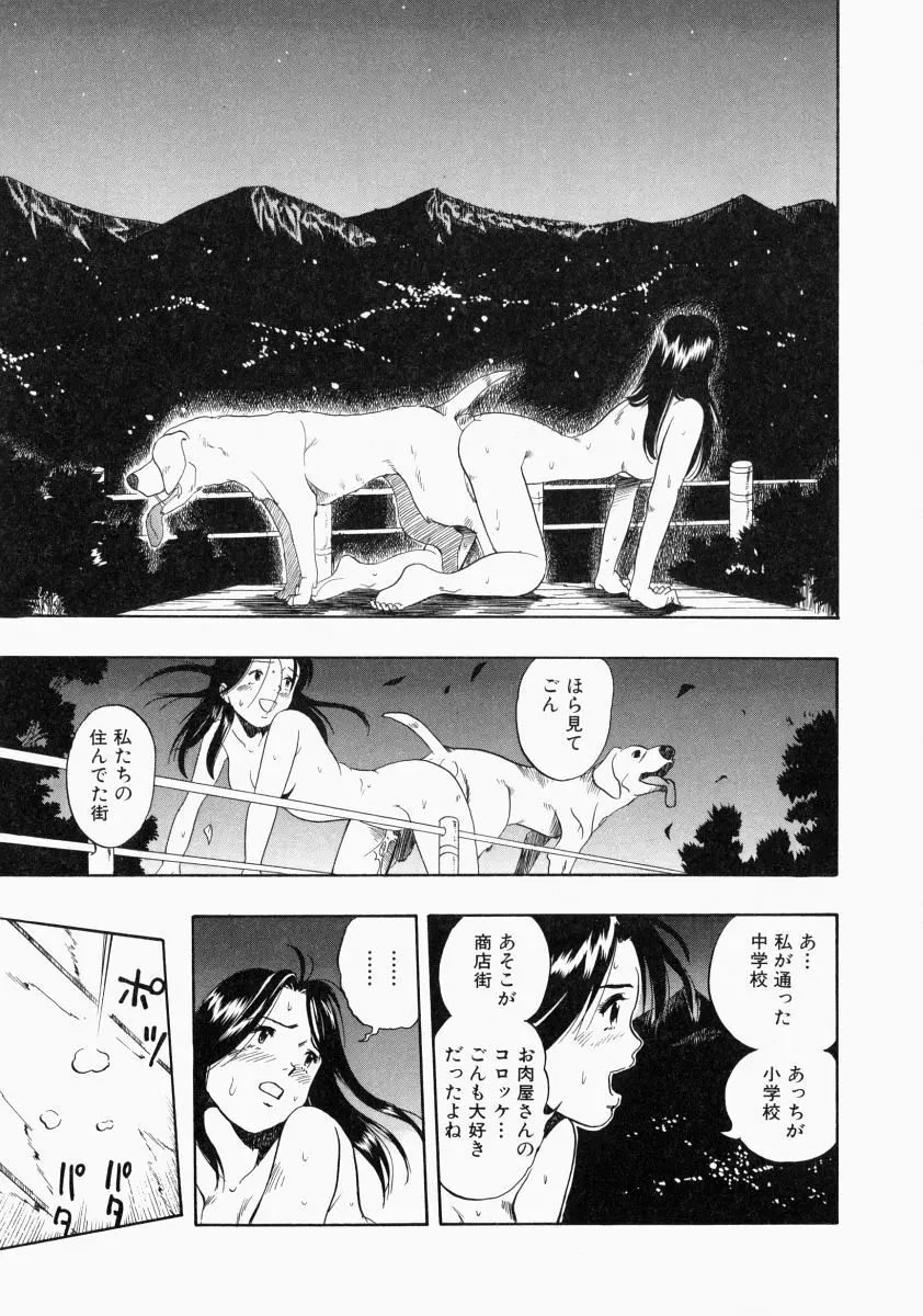 NO DOG NO LIFE Page.179