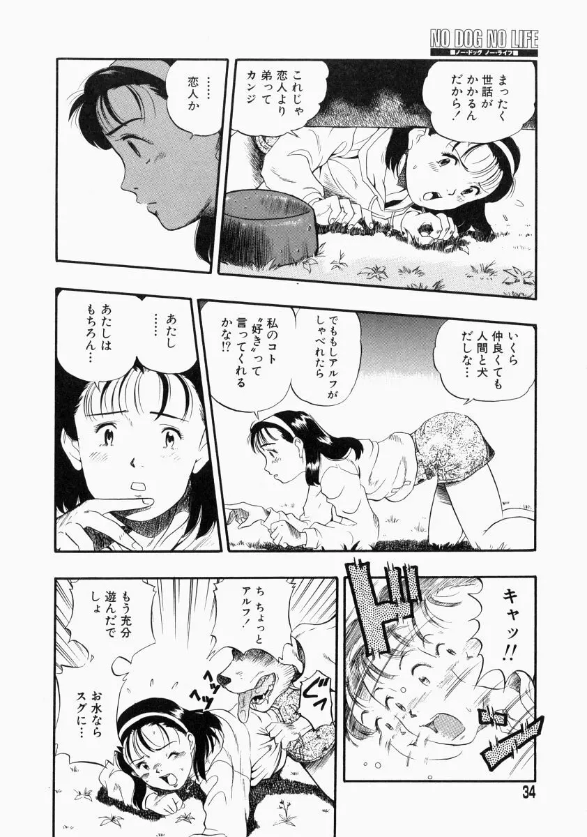 NO DOG NO LIFE Page.36