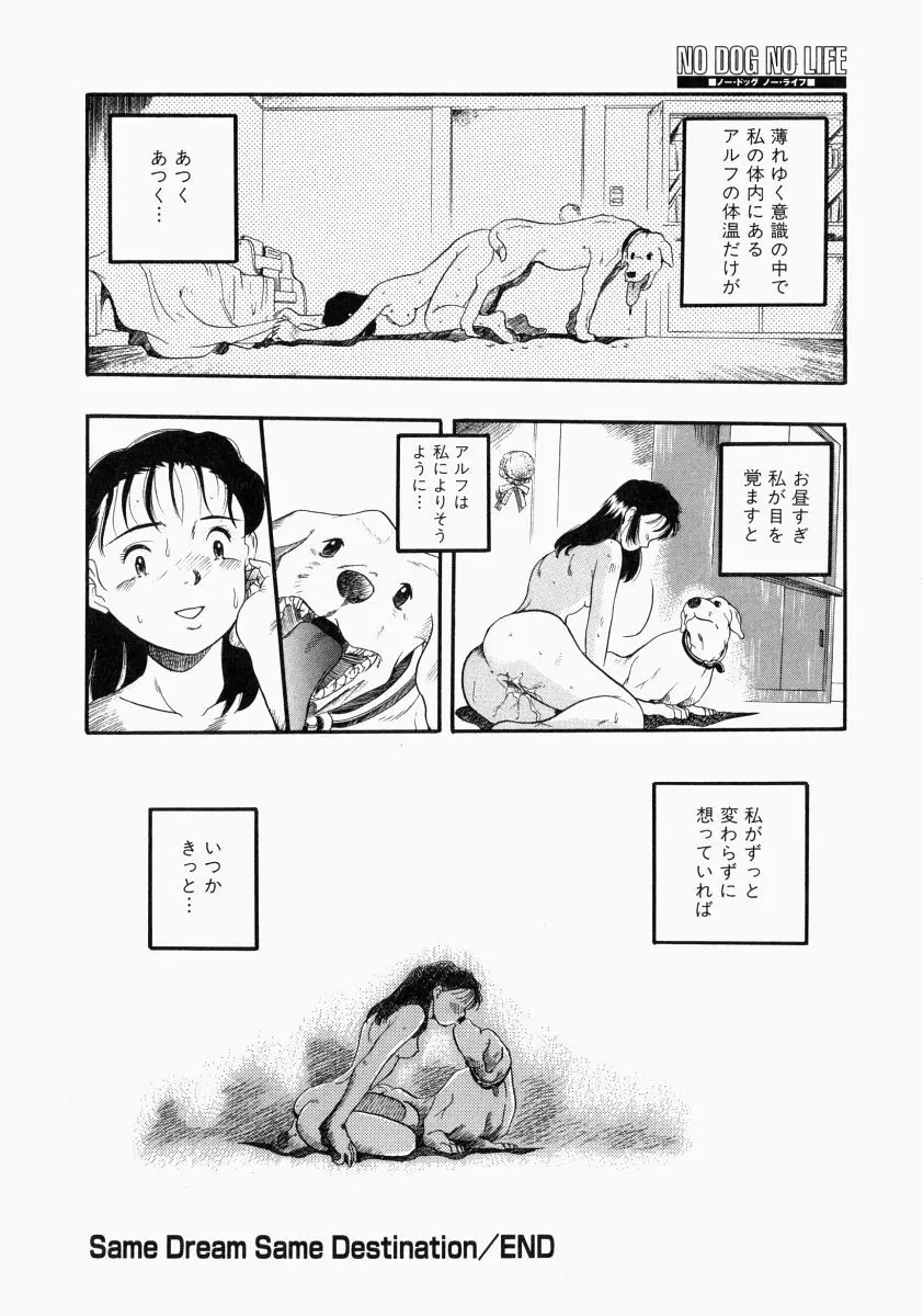 NO DOG NO LIFE Page.56