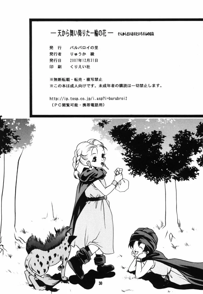 天から舞い降りた一輪の花 Page.30