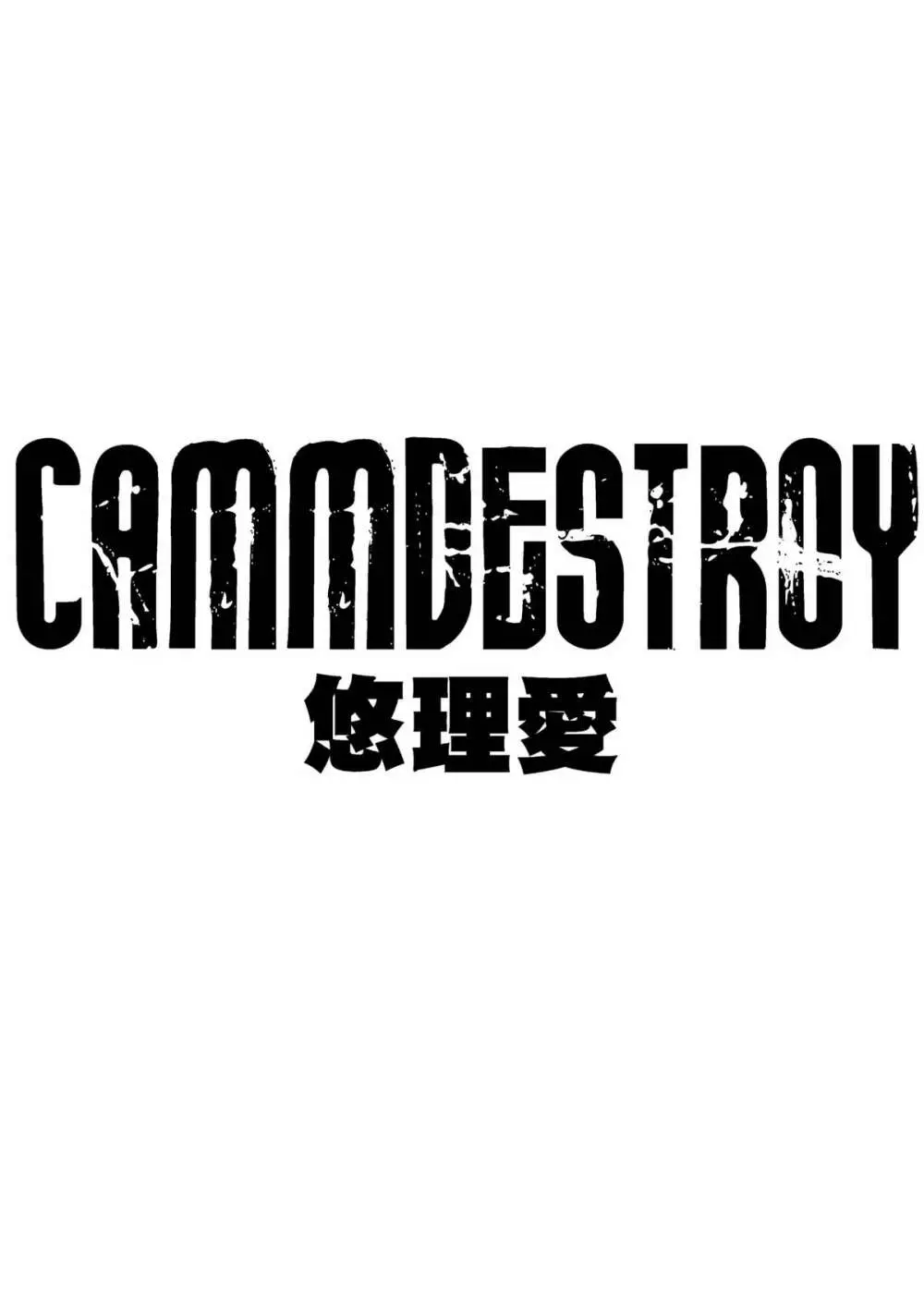 CAMMDESTROY Page.2