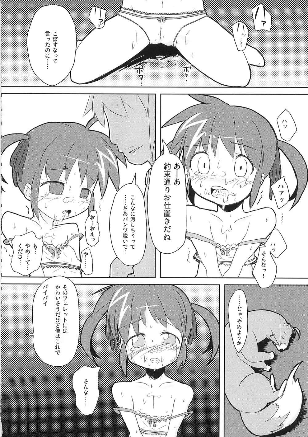 私がなのはを助けるから。 Page.14