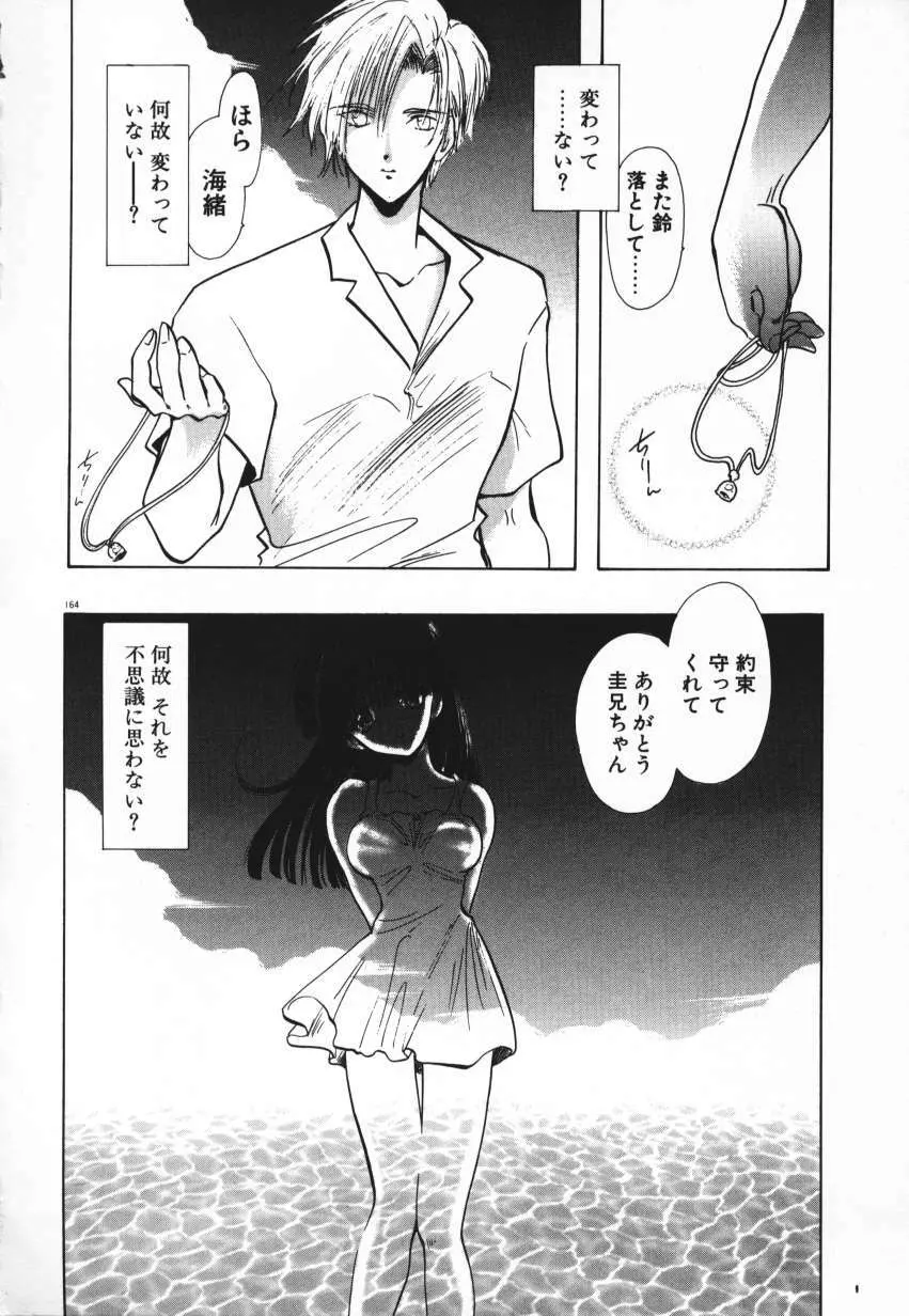 天使の羽コレクション Page.167