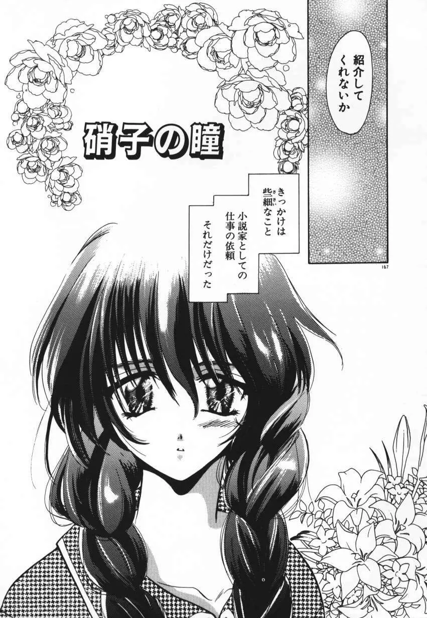 天使の羽コレクション Page.170