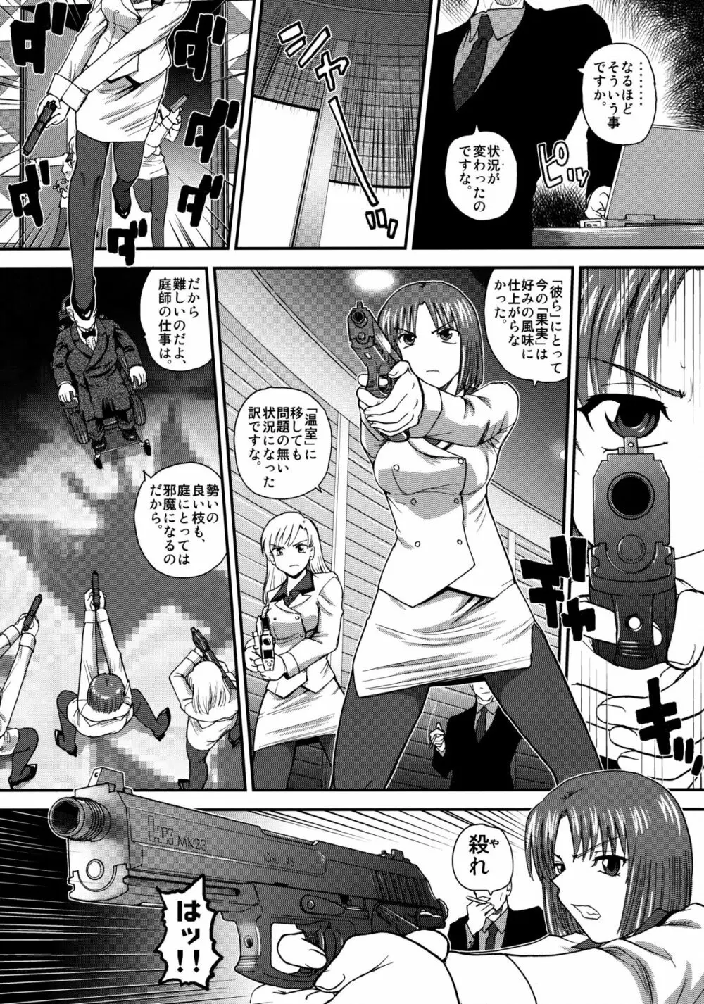 ダルシーレポート 13 Page.29