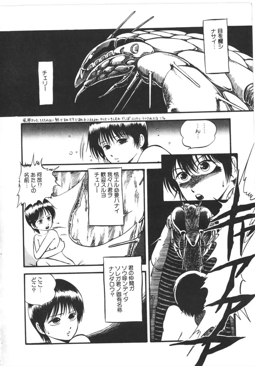 虚空からの挑戦 Page.39