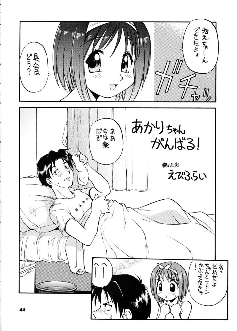 ひまわり Page.43