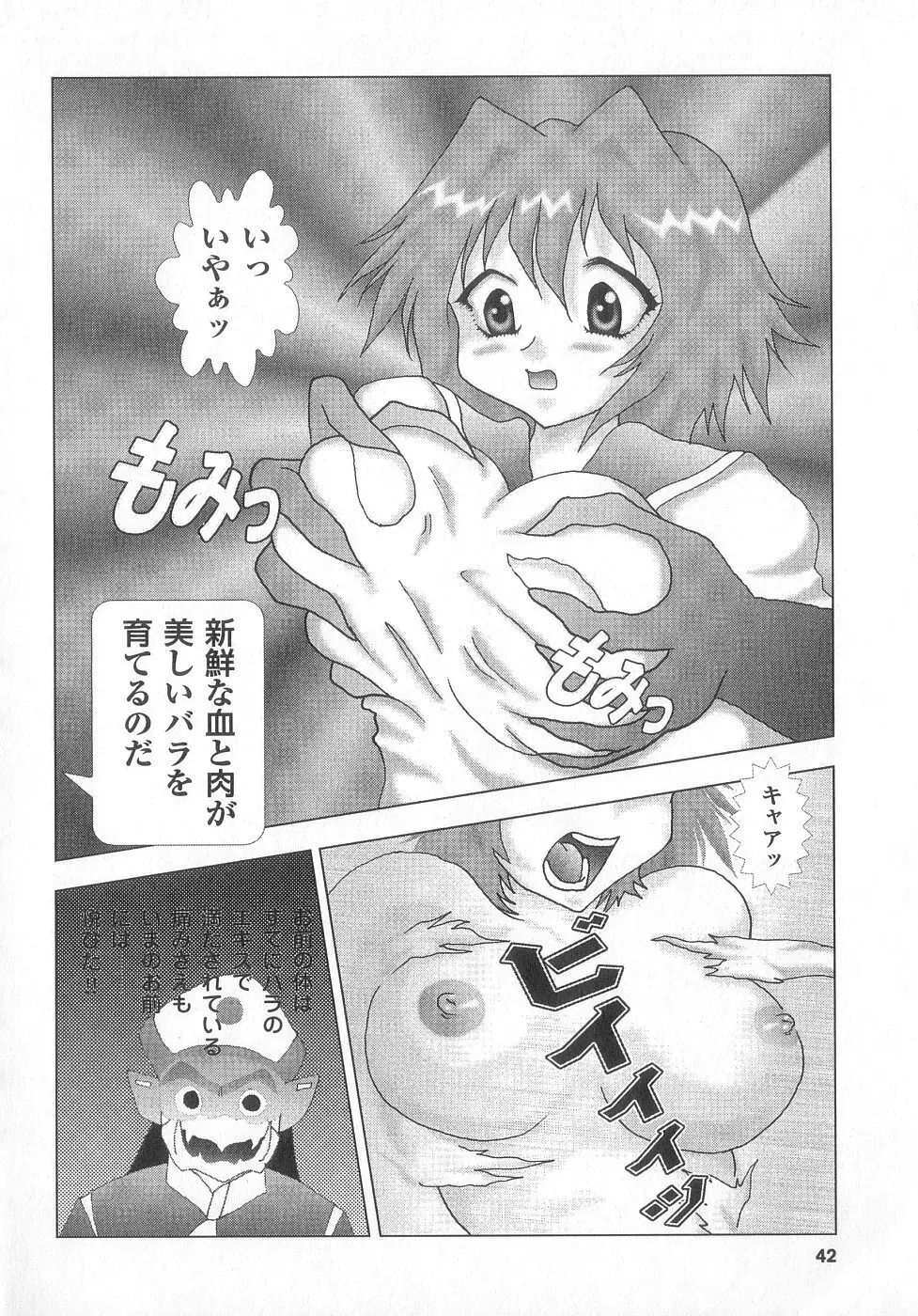 新性器real Page.42