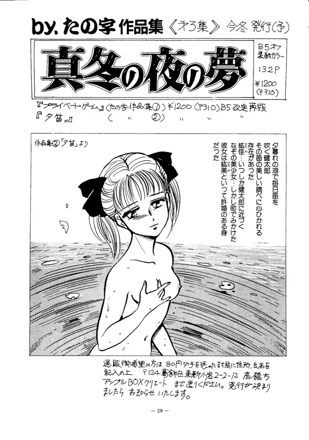 海賊版同人誌打倒版!! 被害報告 Page.30