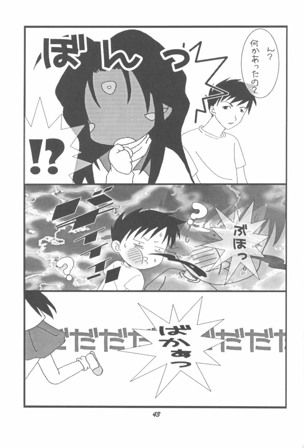 HOHETO 33 Page.42