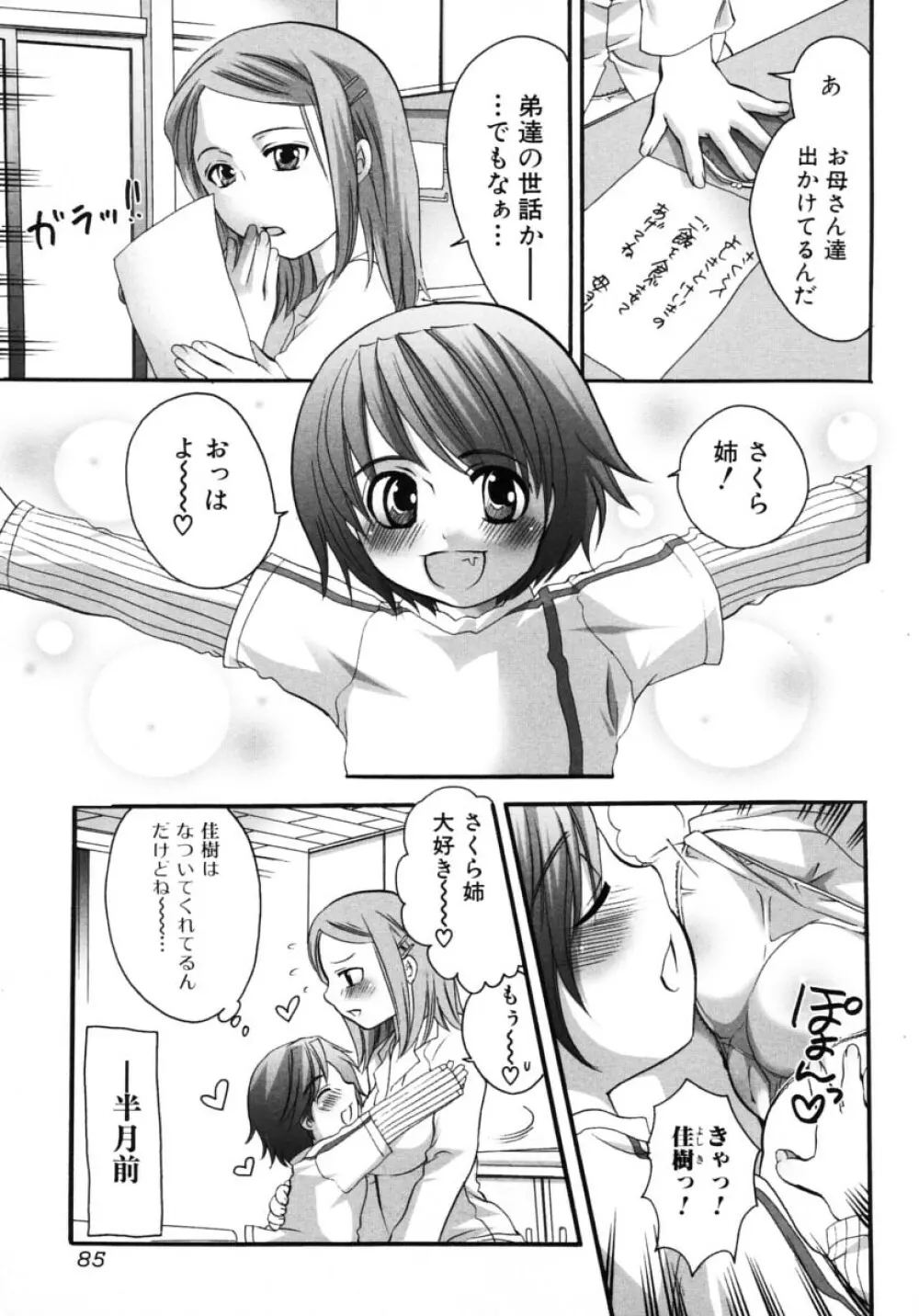 お姉さんの淫蜜 2 Page.85