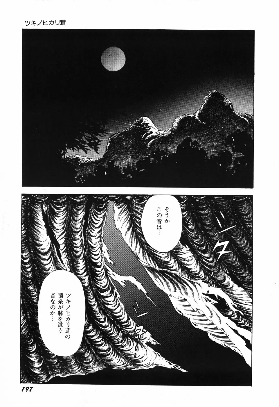 蘭館 Page.204