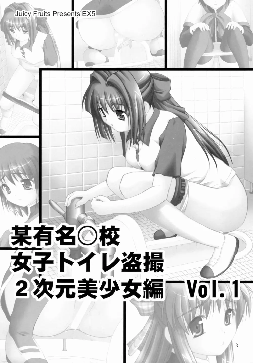 某有名○校女子トイレ盗撮 2次元美少女編 Vol.1 Page.2