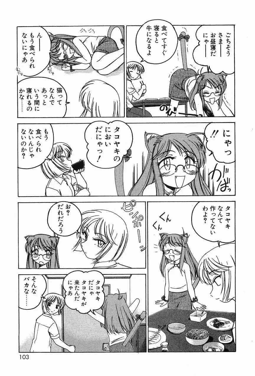 ガラムマサラはかくし味♡ Page.107