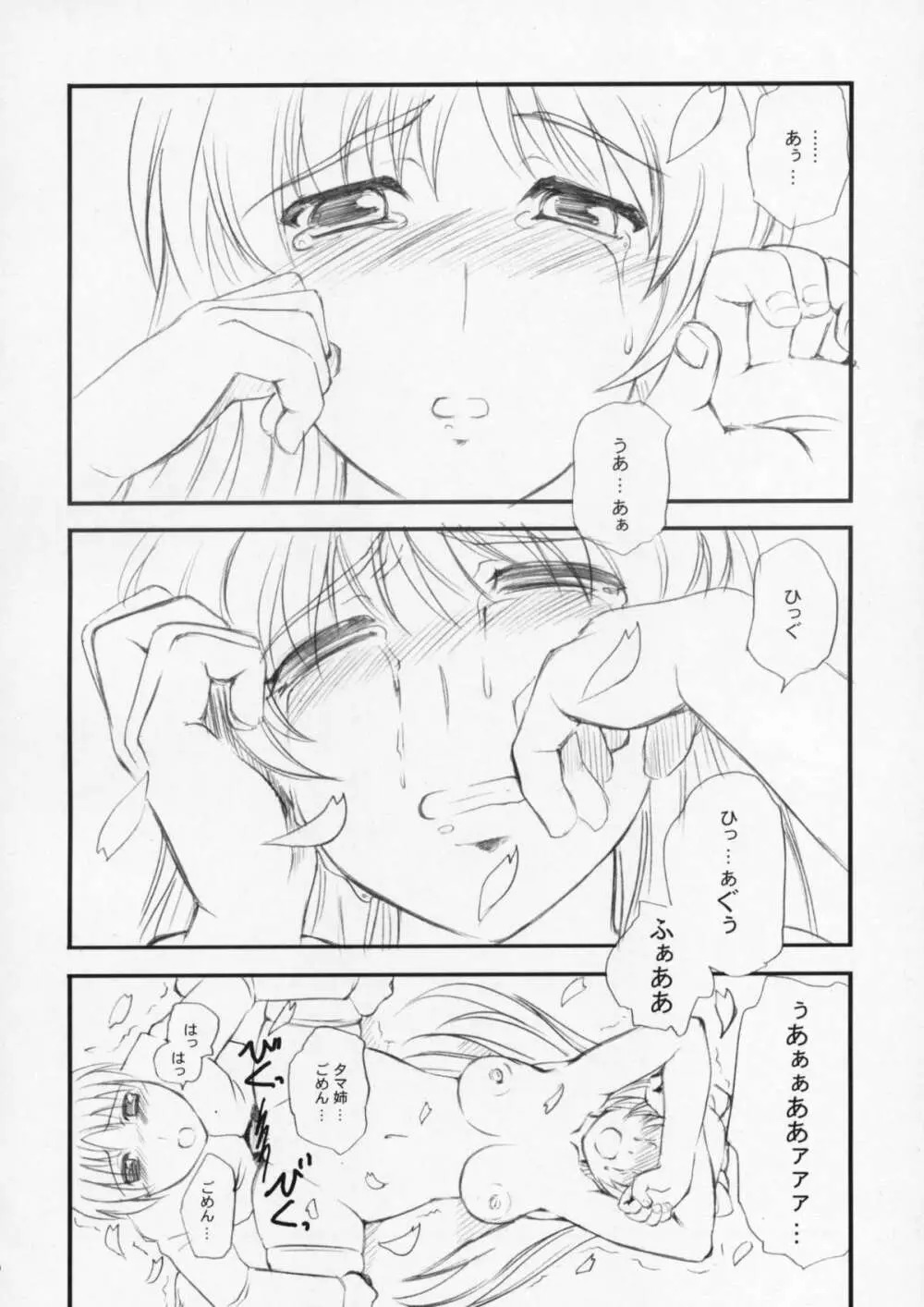 たまセン Page.11