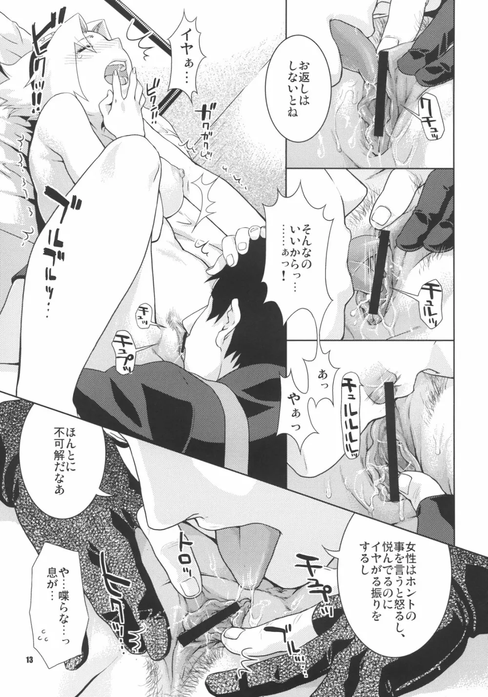 彩桜絵巻 Page.12