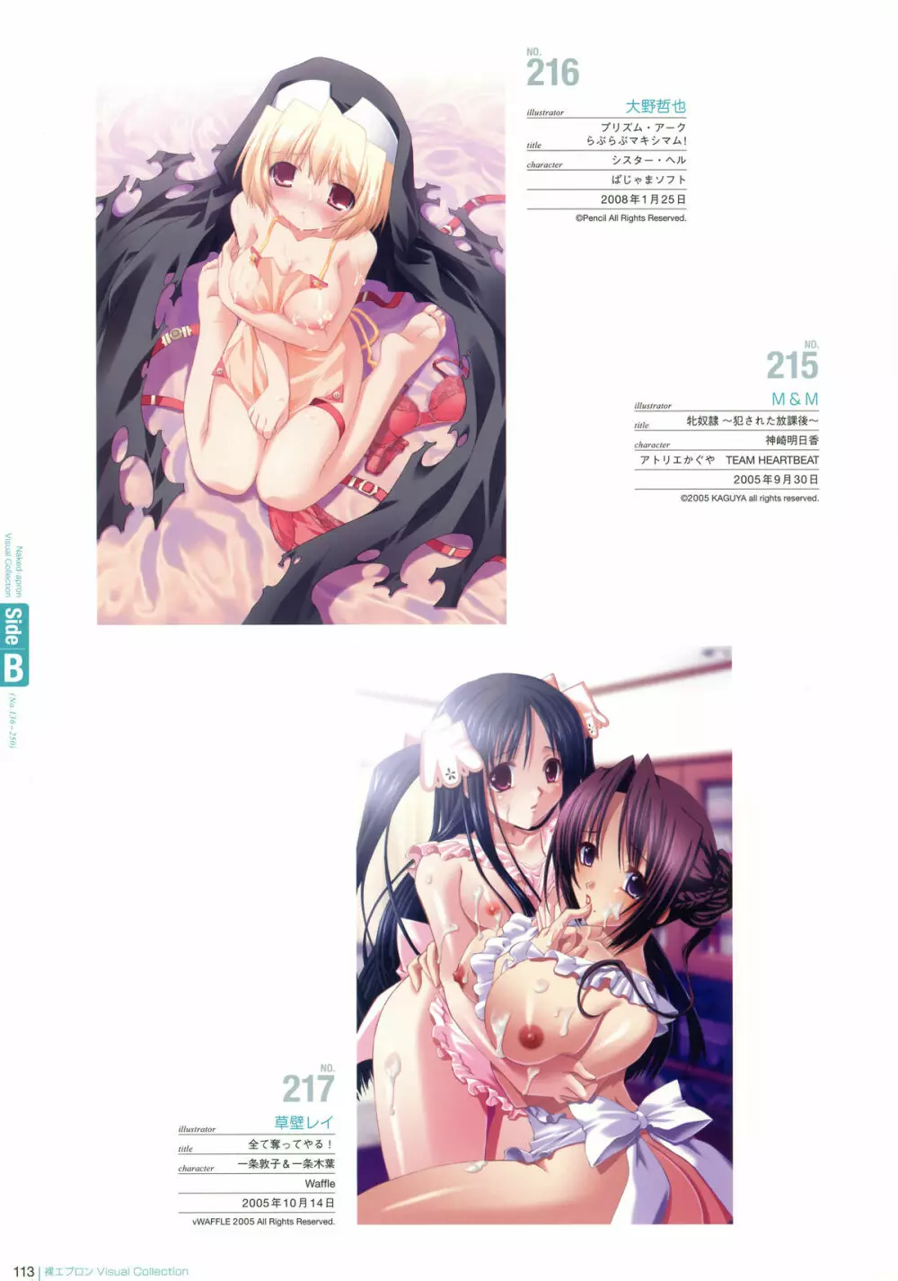 裸エプロン Visual Collection Page.112