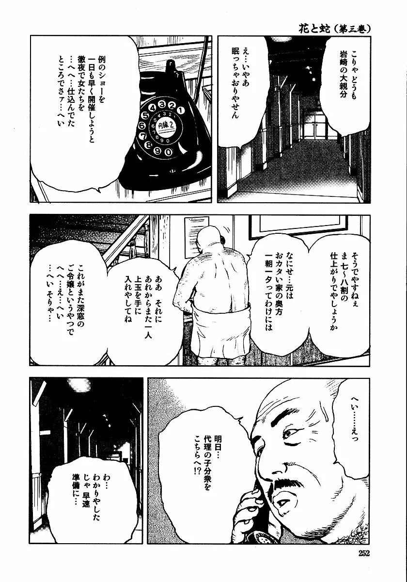 花と蛇 第三集 Page.257