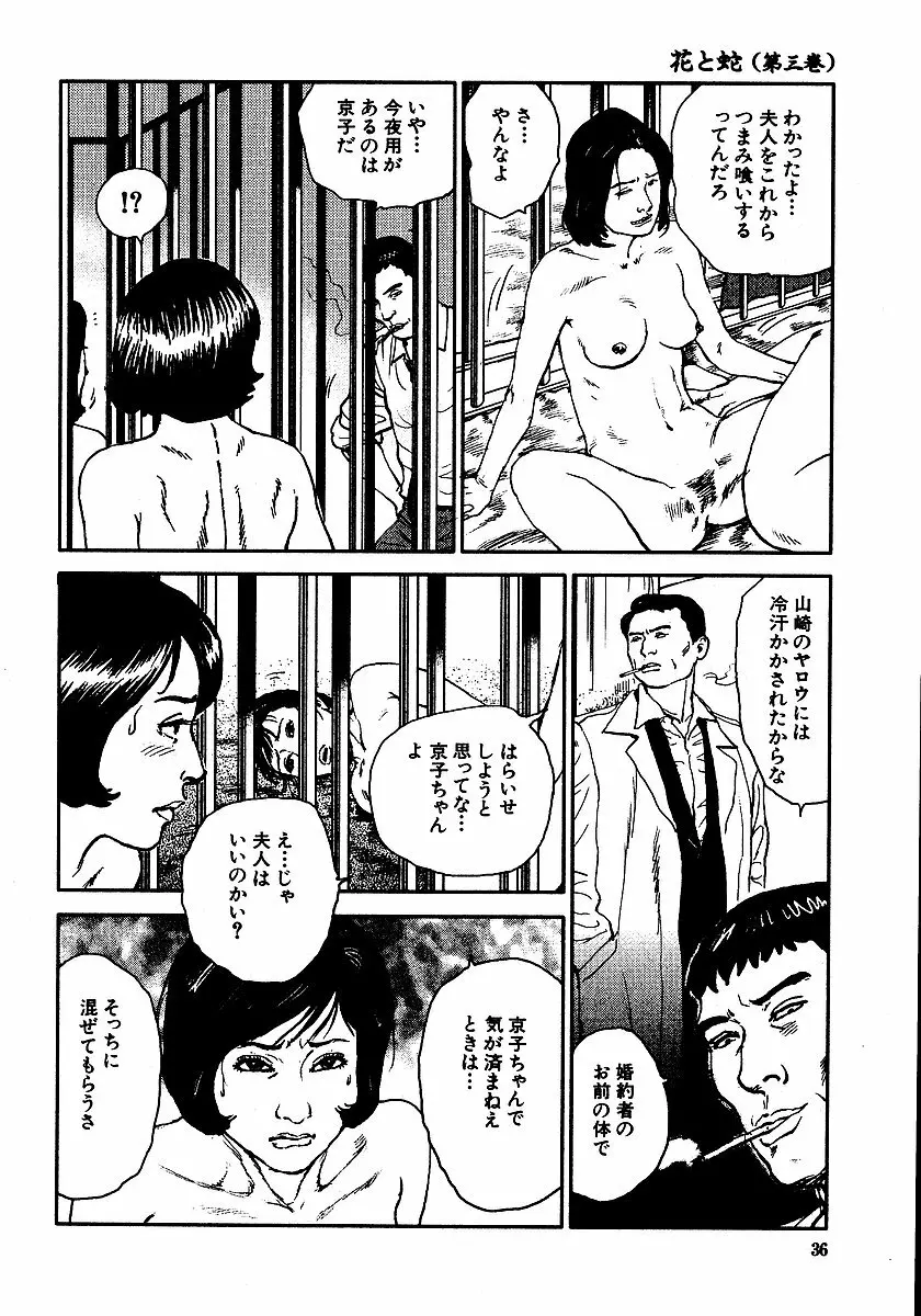 花と蛇 第三集 Page.41