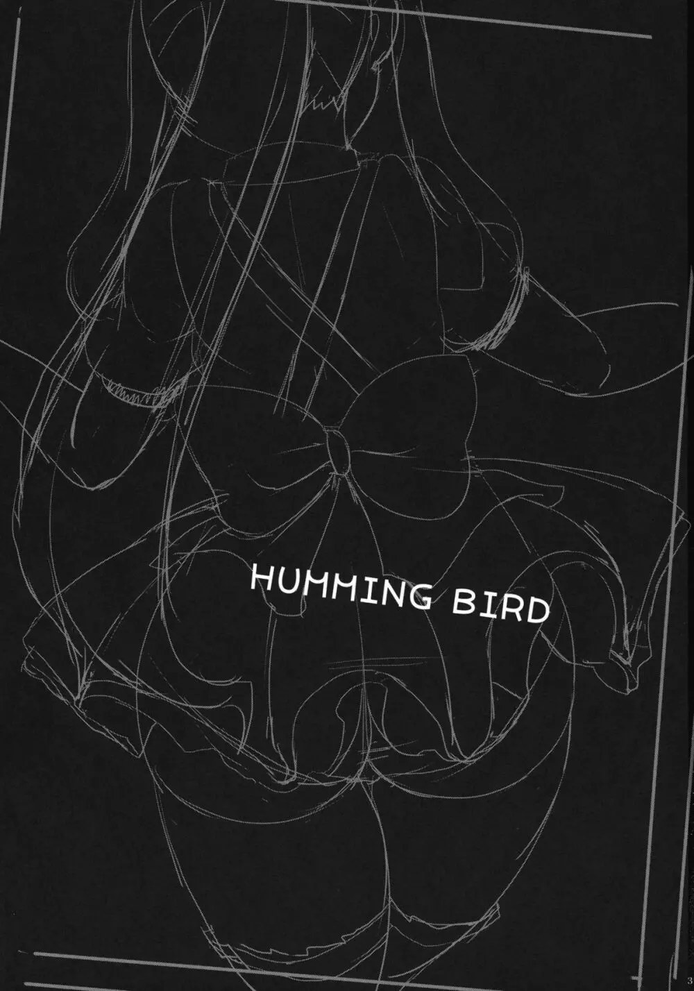 HUMMING BIRD Page.3