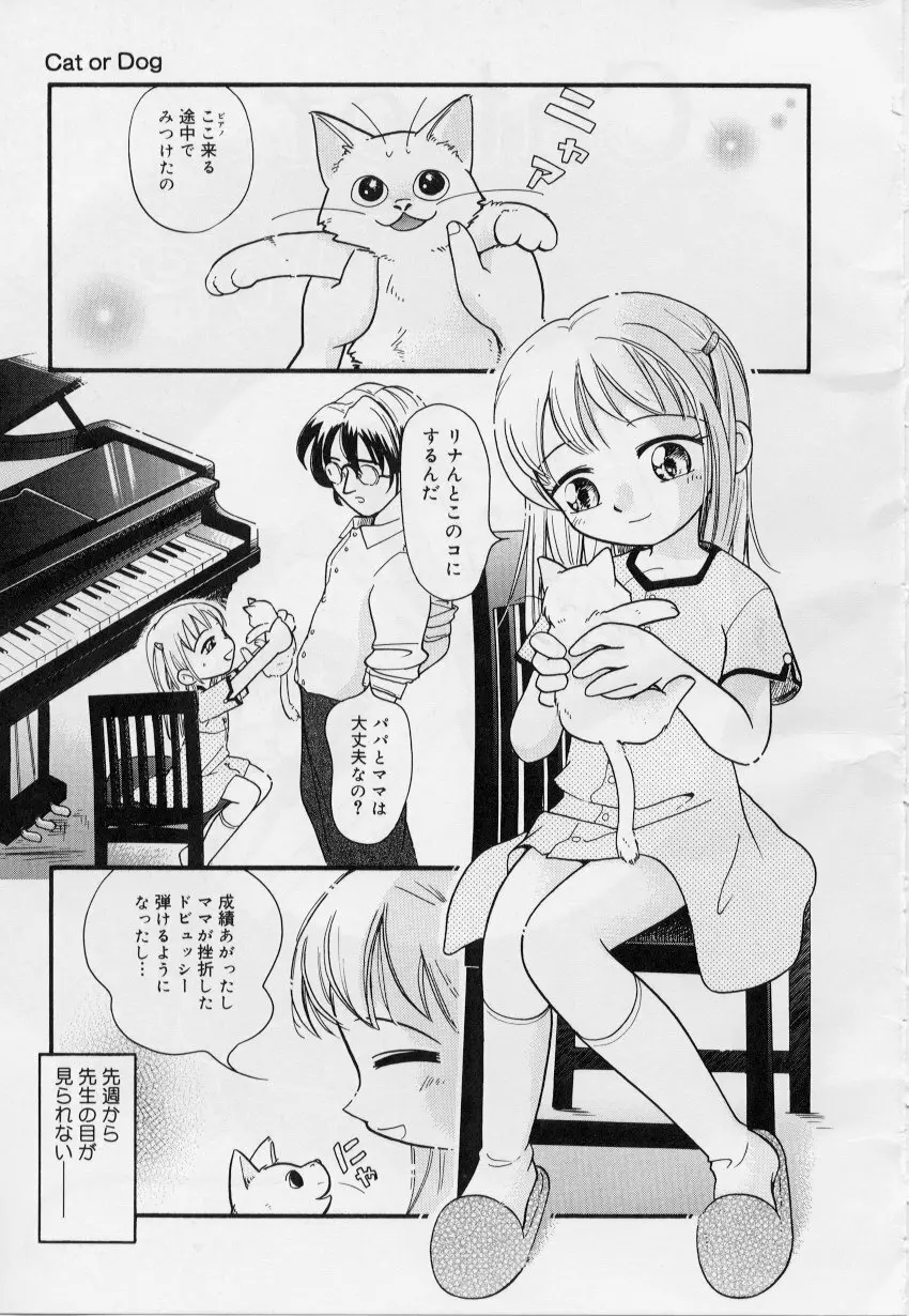 晴れときどきぬれねずみ Page.43