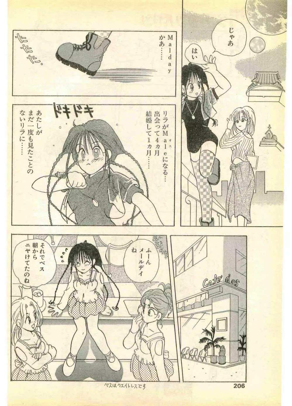 COMIC パピポ外伝 1995年11月号 Vol.17 Page.206