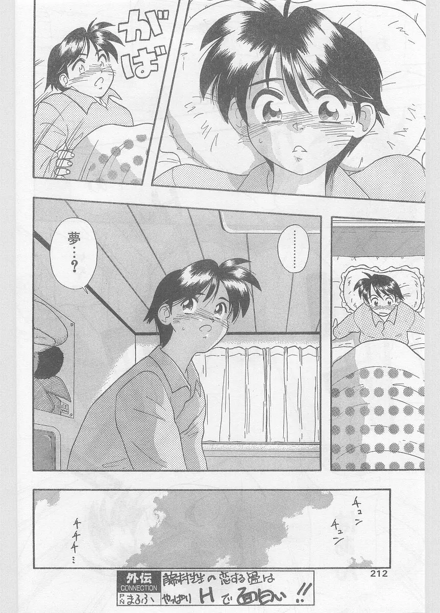 COMIC パピポ外伝 1996年01月号 Vol.18 Page.212