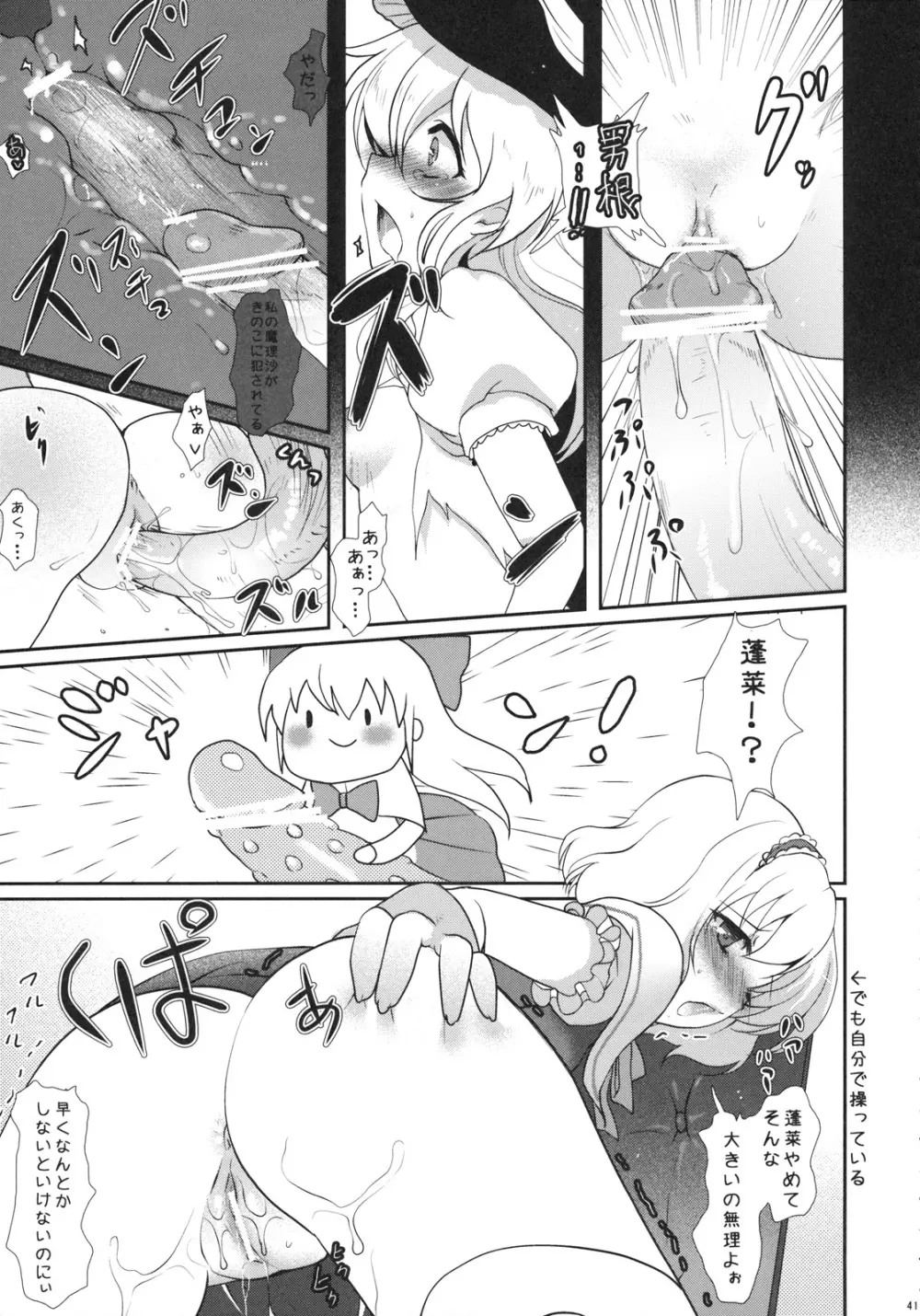 2008-2009まとめ本1 Page.13