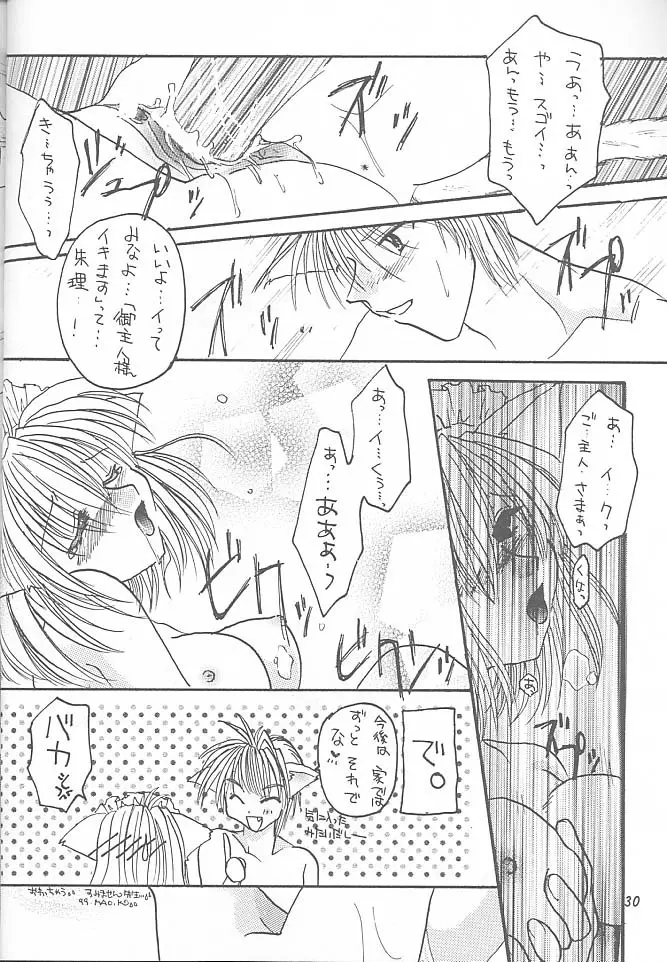 御主人様と私 Page.29