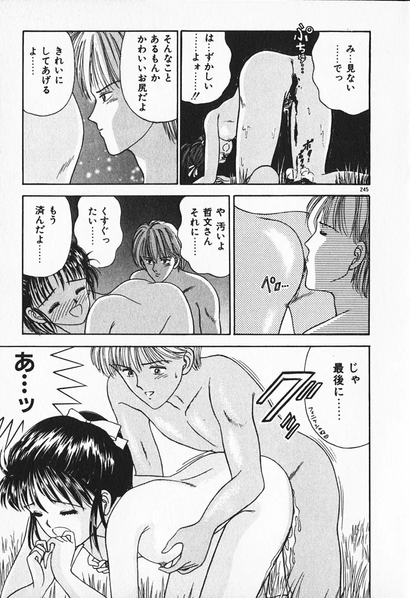 ぶれいくしてね Page.246