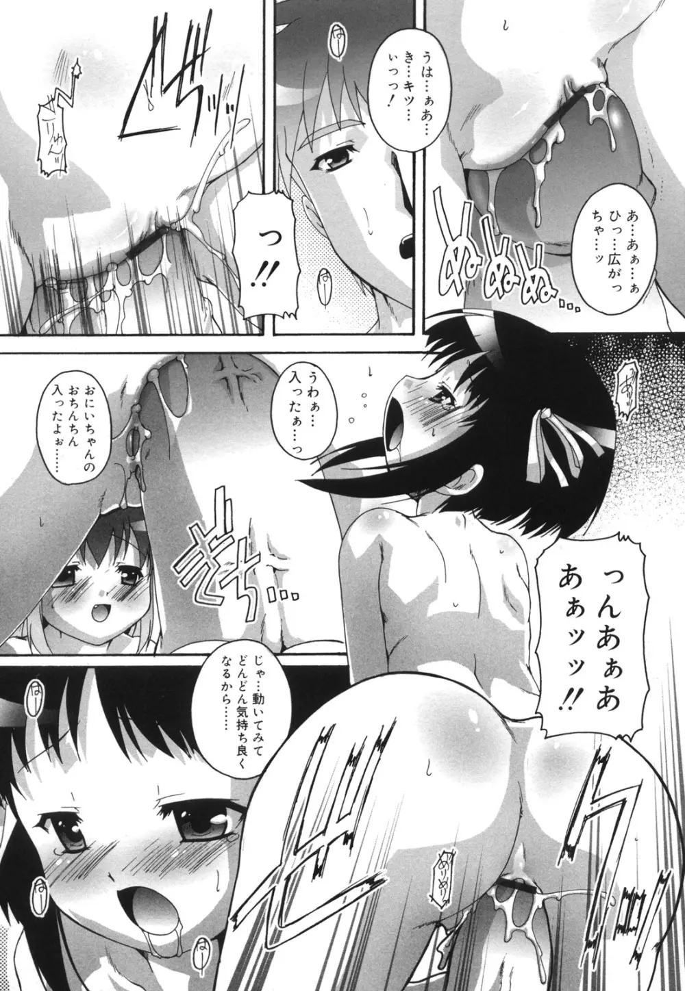 ぷちふぇちH Page.183