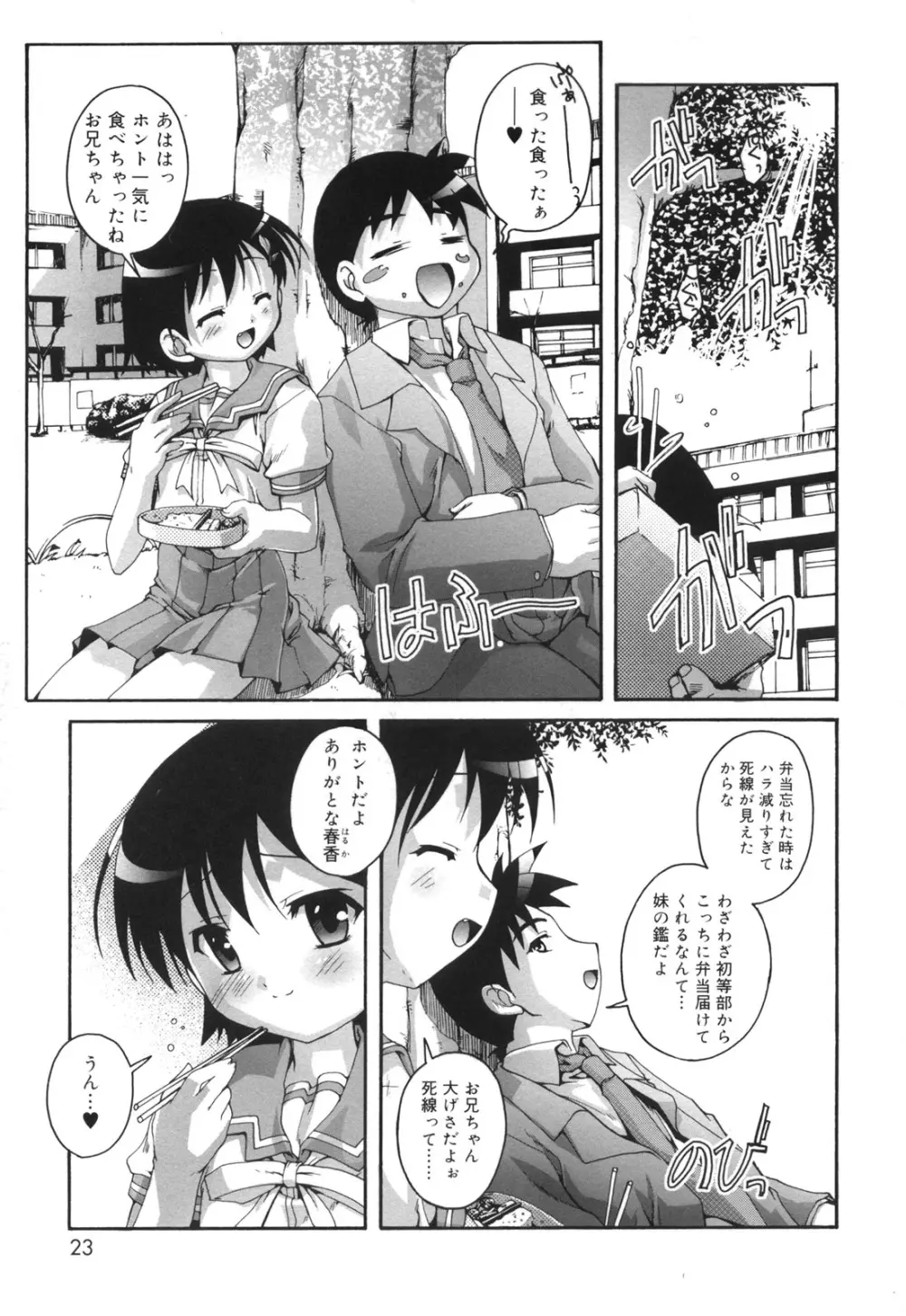 ぷちふぇちH Page.24