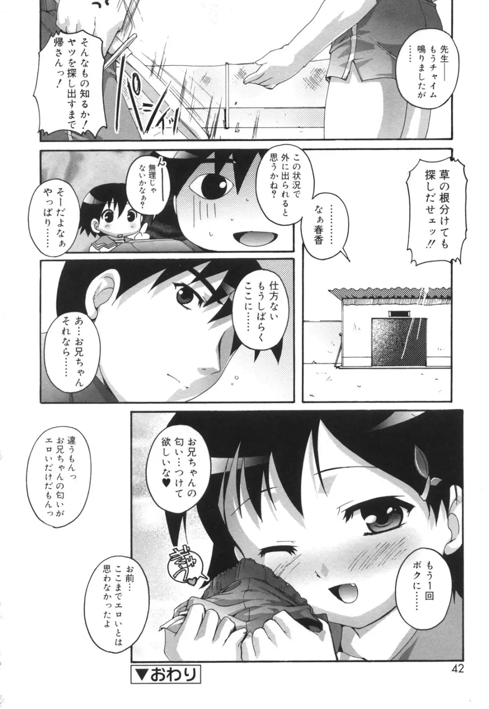 ぷちふぇちH Page.43